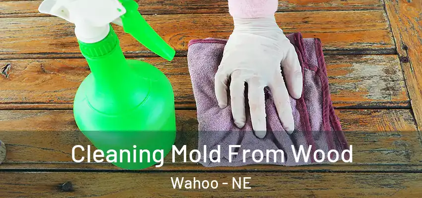  Cleaning Mold From Wood Wahoo - NE