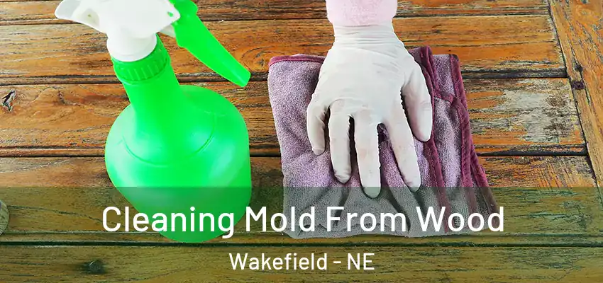  Cleaning Mold From Wood Wakefield - NE