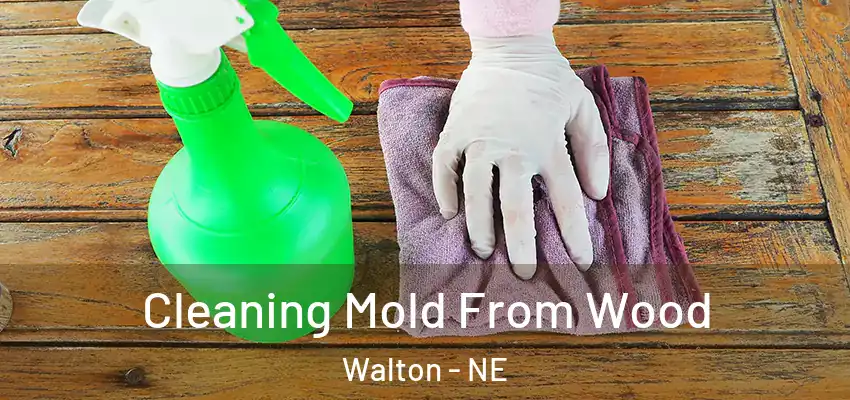  Cleaning Mold From Wood Walton - NE
