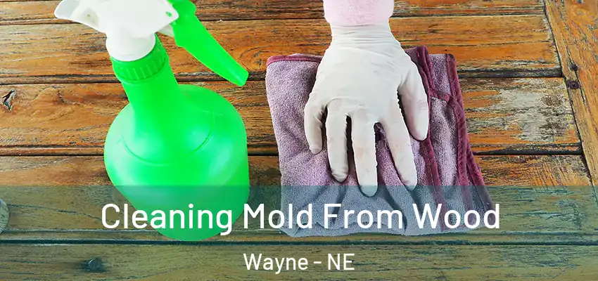 Cleaning Mold From Wood Wayne - NE