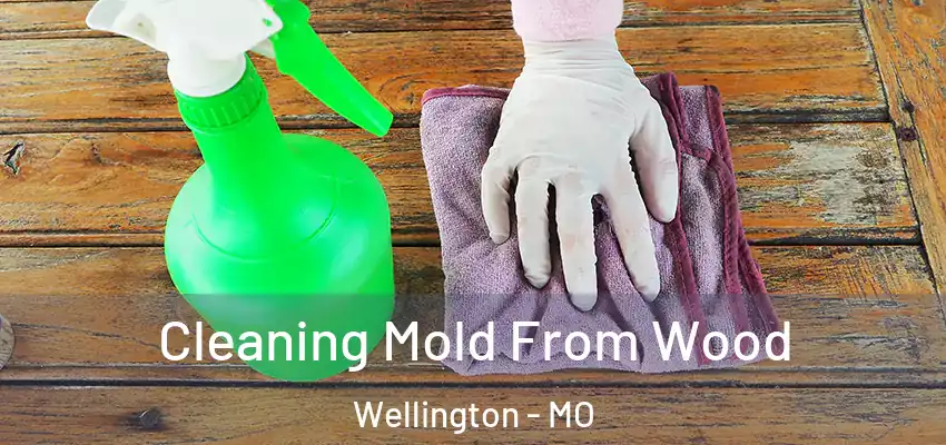  Cleaning Mold From Wood Wellington - MO