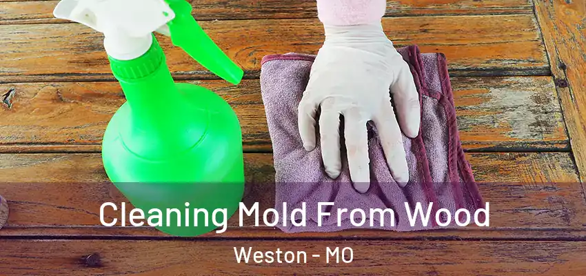  Cleaning Mold From Wood Weston - MO