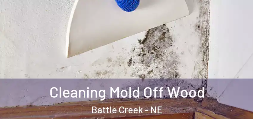  Cleaning Mold Off Wood Battle Creek - NE