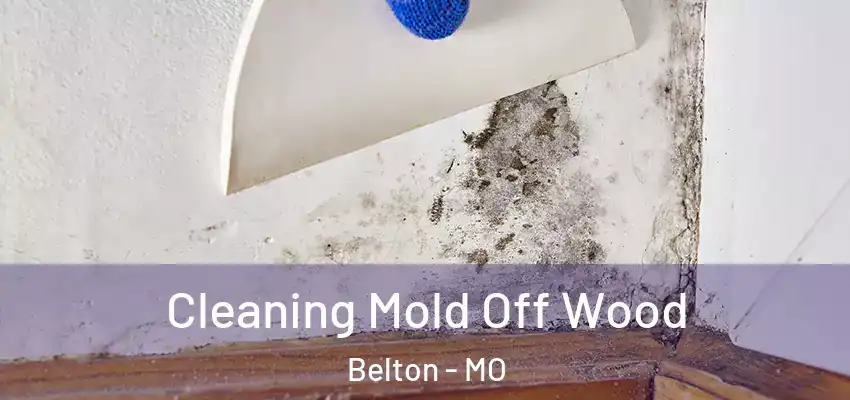  Cleaning Mold Off Wood Belton - MO