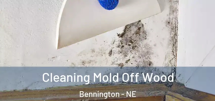 Cleaning Mold Off Wood Bennington - NE