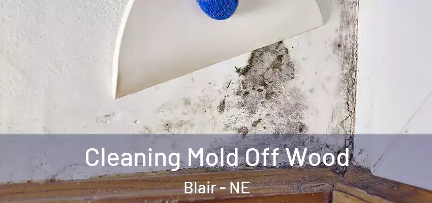  Cleaning Mold Off Wood Blair - NE