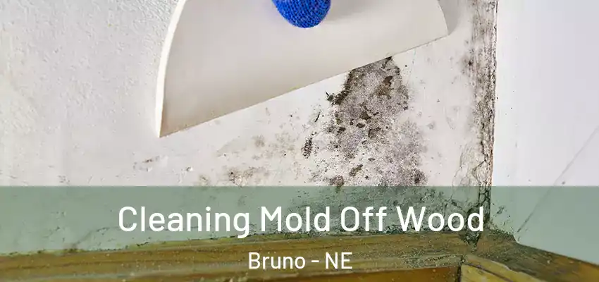  Cleaning Mold Off Wood Bruno - NE