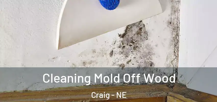 Cleaning Mold Off Wood Craig - NE