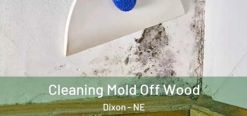 Cleaning Mold Off Wood Dixon - NE