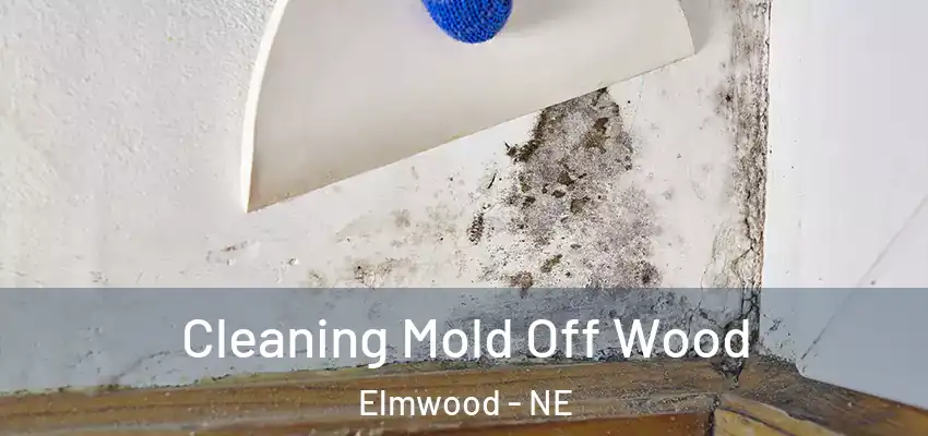  Cleaning Mold Off Wood Elmwood - NE