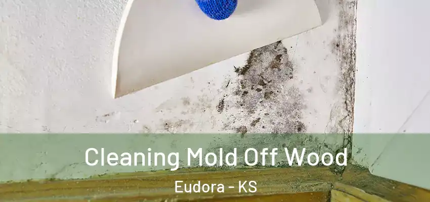  Cleaning Mold Off Wood Eudora - KS