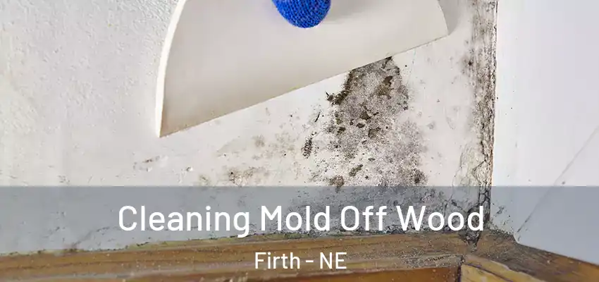  Cleaning Mold Off Wood Firth - NE