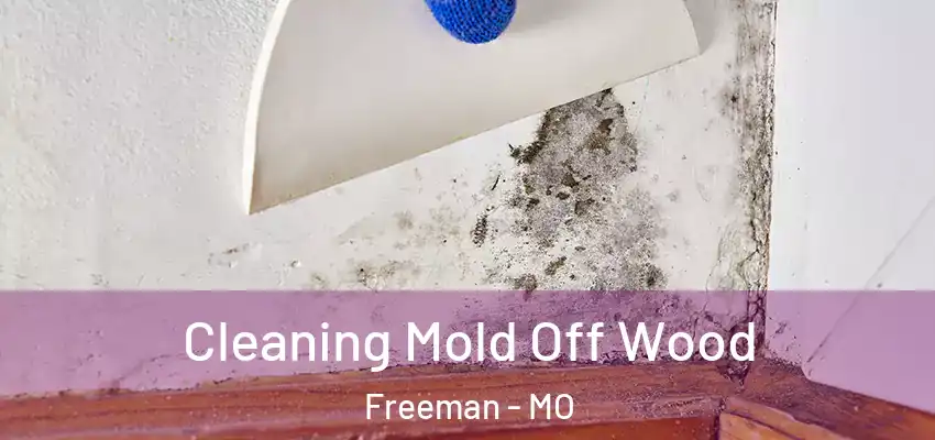  Cleaning Mold Off Wood Freeman - MO