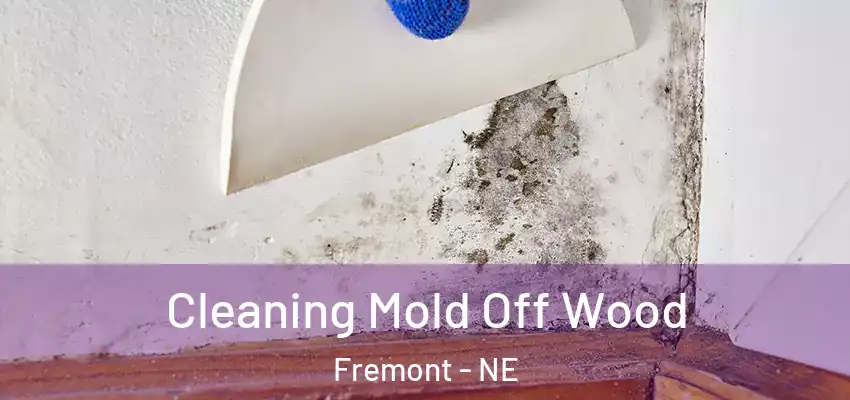  Cleaning Mold Off Wood Fremont - NE