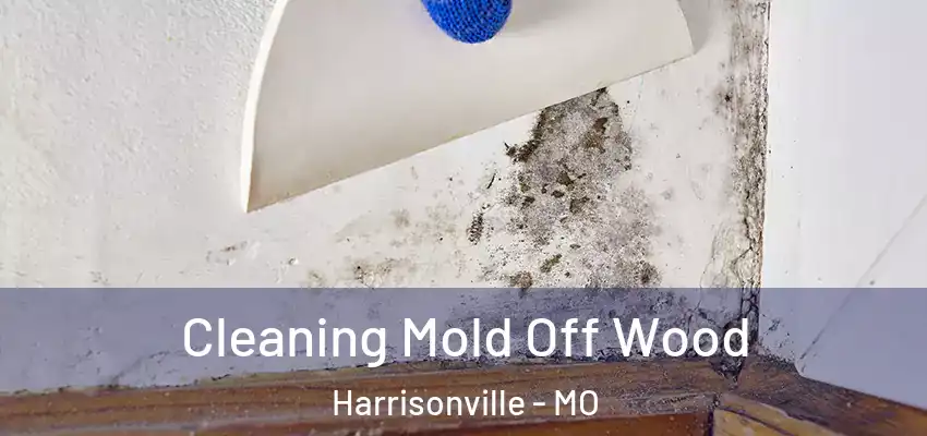  Cleaning Mold Off Wood Harrisonville - MO