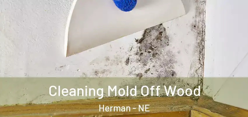  Cleaning Mold Off Wood Herman - NE