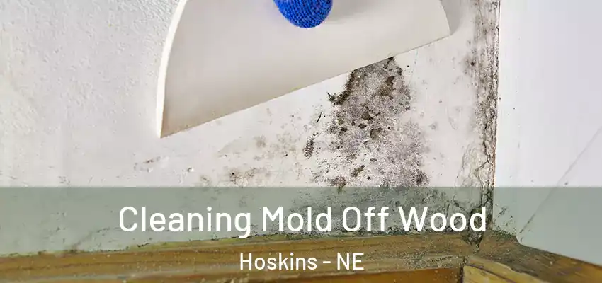 Cleaning Mold Off Wood Hoskins - NE