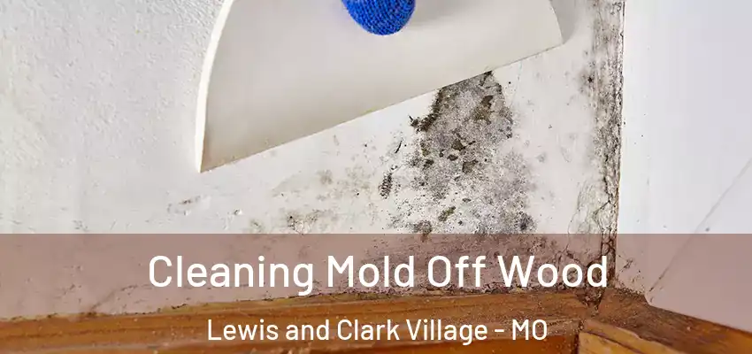  Cleaning Mold Off Wood Lewis and Clark Village - MO