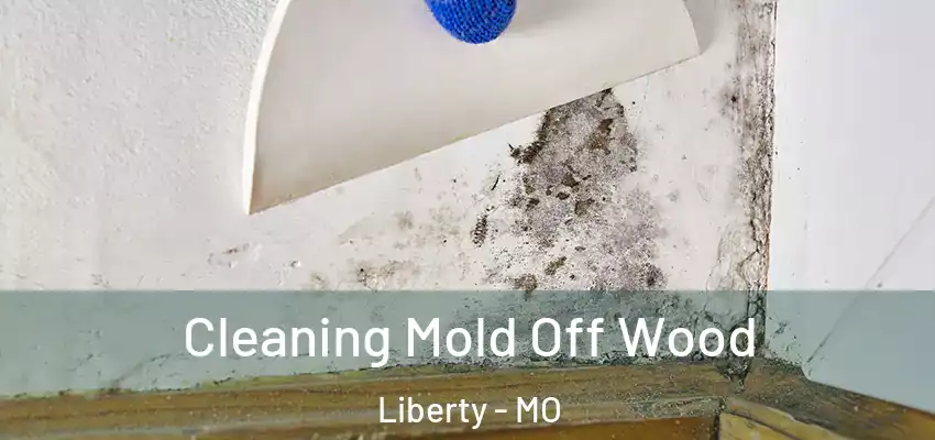  Cleaning Mold Off Wood Liberty - MO