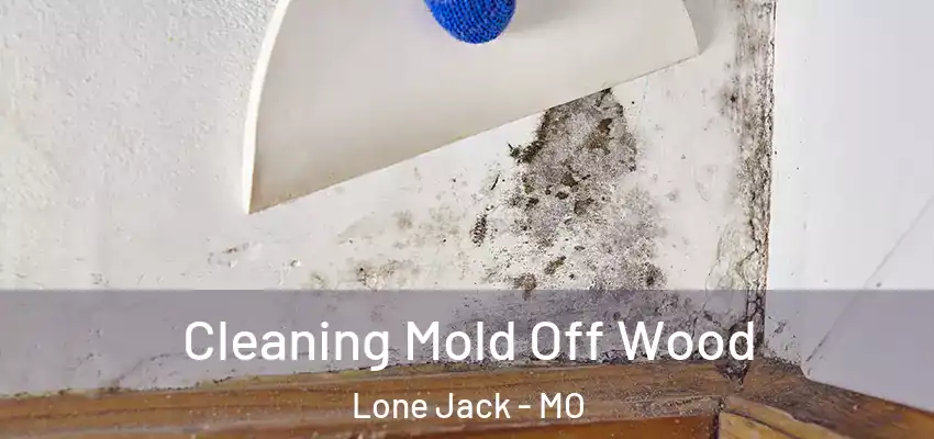  Cleaning Mold Off Wood Lone Jack - MO
