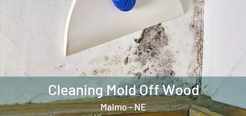  Cleaning Mold Off Wood Malmo - NE