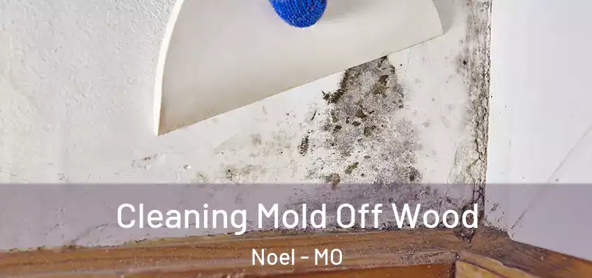  Cleaning Mold Off Wood Noel - MO