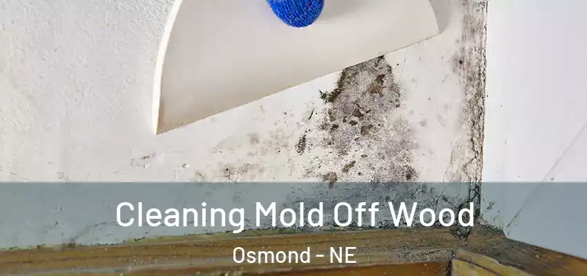  Cleaning Mold Off Wood Osmond - NE