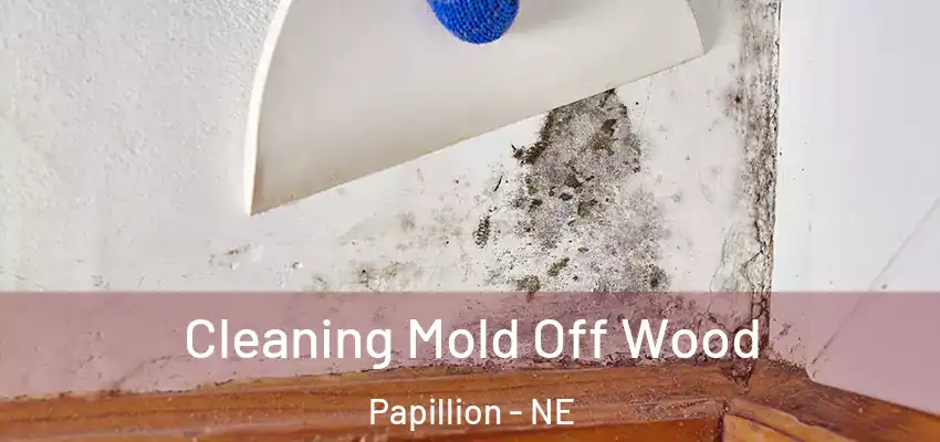 Cleaning Mold Off Wood Papillion - NE