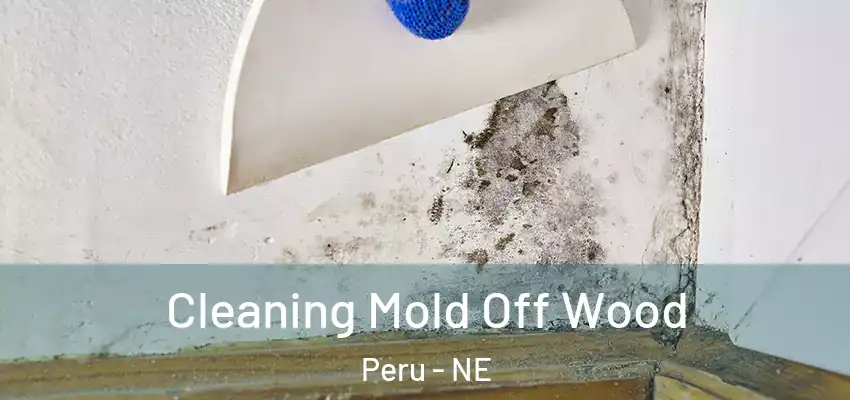  Cleaning Mold Off Wood Peru - NE