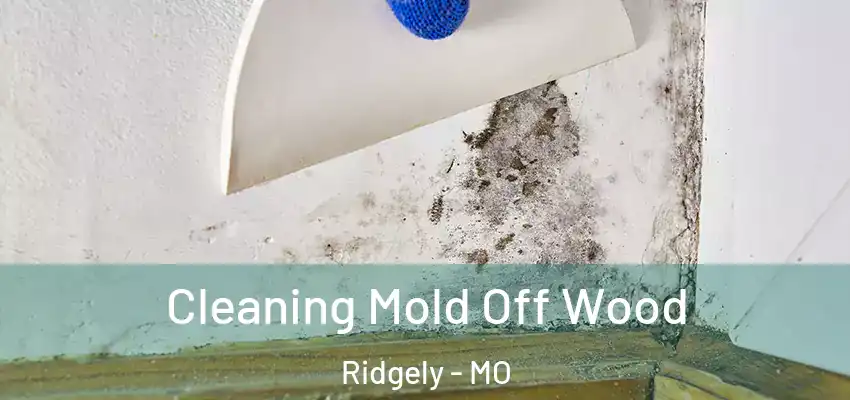 Cleaning Mold Off Wood Ridgely - MO