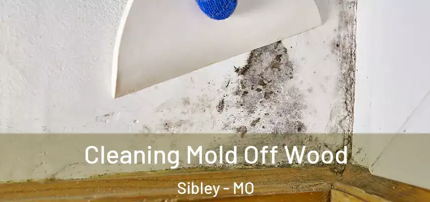  Cleaning Mold Off Wood Sibley - MO
