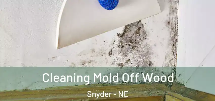  Cleaning Mold Off Wood Snyder - NE