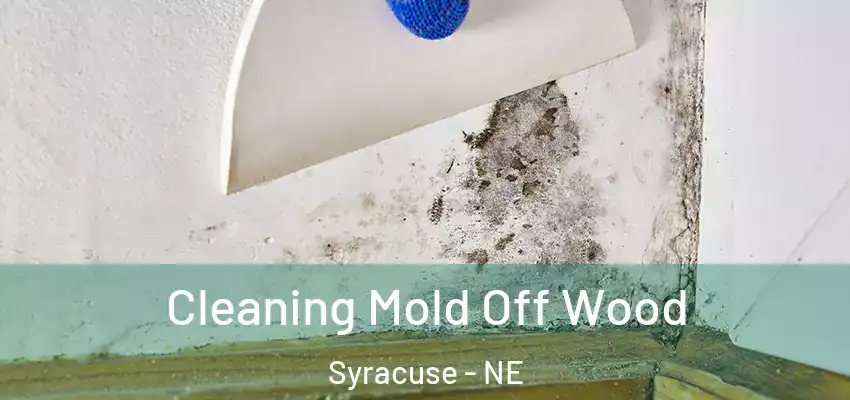  Cleaning Mold Off Wood Syracuse - NE
