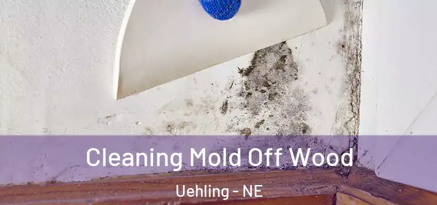  Cleaning Mold Off Wood Uehling - NE