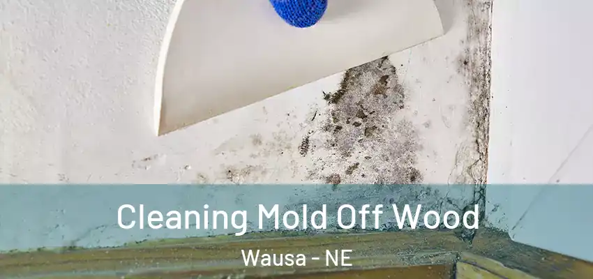  Cleaning Mold Off Wood Wausa - NE