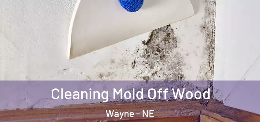  Cleaning Mold Off Wood Wayne - NE
