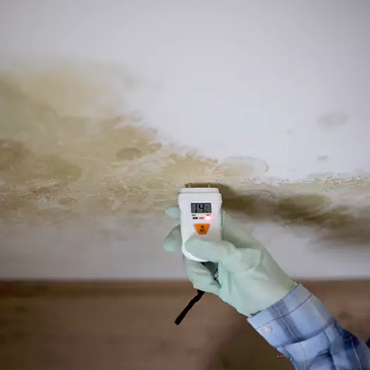 Reliable Mold Inspection Experts in Overland Park, KS