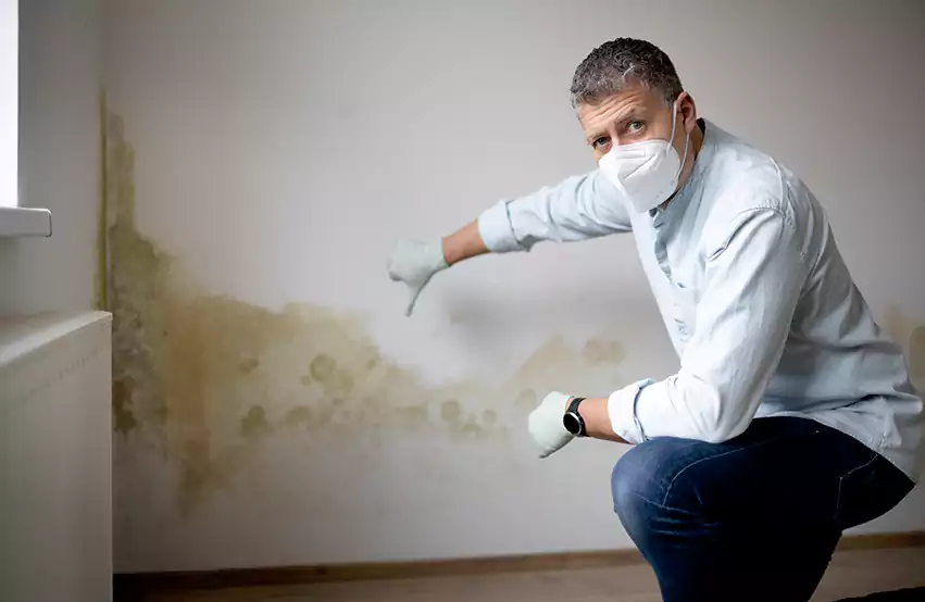 Mold Removal in Overland Park, KS