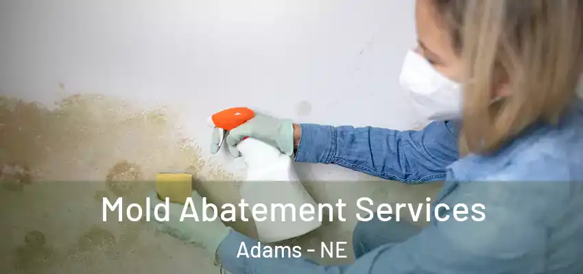  Mold Abatement Services Adams - NE