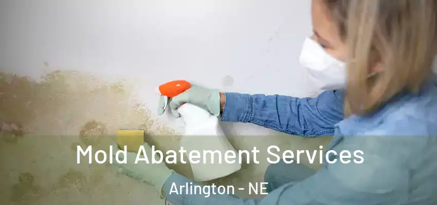  Mold Abatement Services Arlington - NE