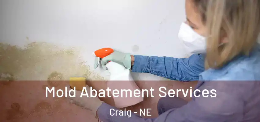  Mold Abatement Services Craig - NE