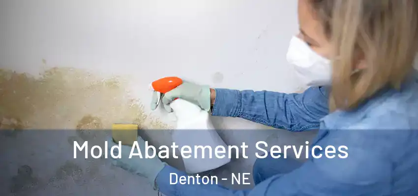  Mold Abatement Services Denton - NE