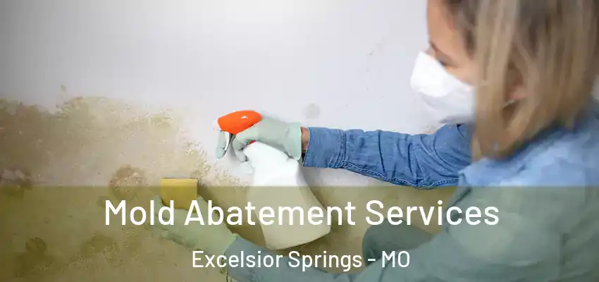  Mold Abatement Services Excelsior Springs - MO