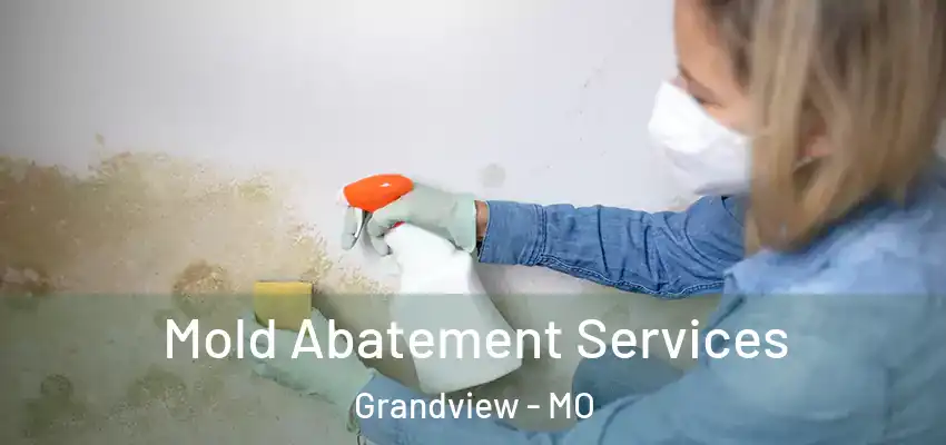  Mold Abatement Services Grandview - MO