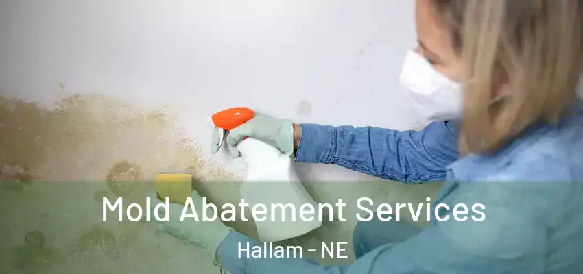  Mold Abatement Services Hallam - NE
