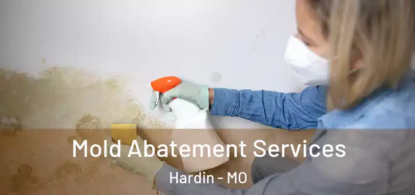  Mold Abatement Services Hardin - MO