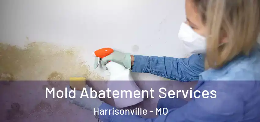 Mold Abatement Services Harrisonville - MO