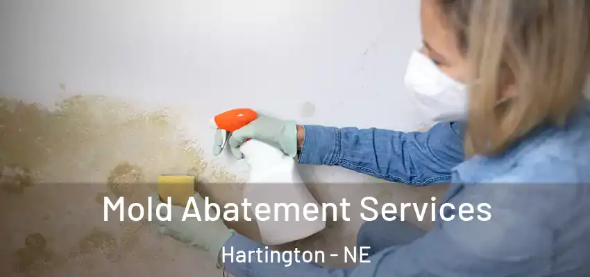  Mold Abatement Services Hartington - NE