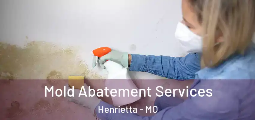  Mold Abatement Services Henrietta - MO