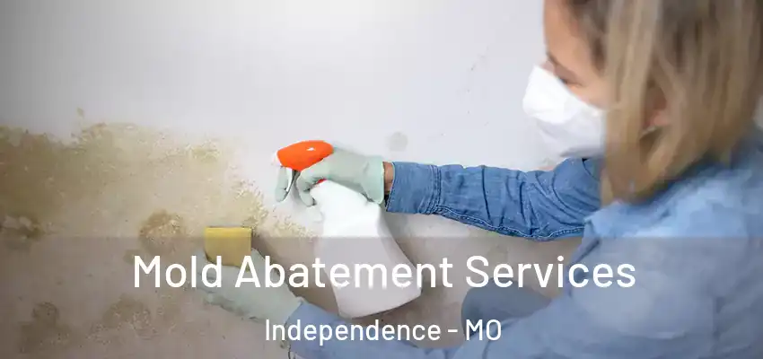  Mold Abatement Services Independence - MO